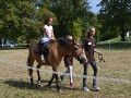 Dítě a kůň se zúčastnilo 4. ročníku Vinobraní na Kačině.