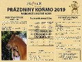 Prázdniny koňmo 2019 - zcela obsazené