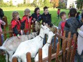 Společná cesta 2017